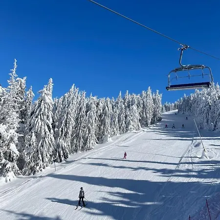 Nlux And * Kopaonik