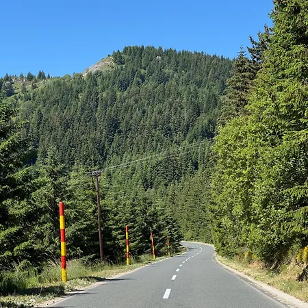 Nlux And Apartment Kopaonik