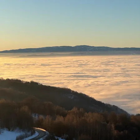 Nlux And Apartment *