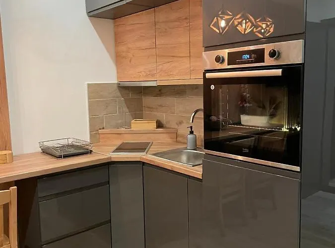 公寓 Nlux And 科帕奥尼克