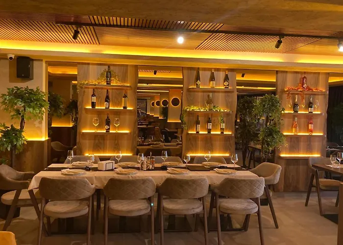 Nlux And 科帕奥尼克