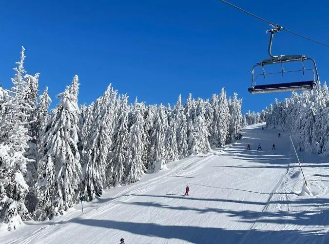 Nlux And * 科帕奥尼克