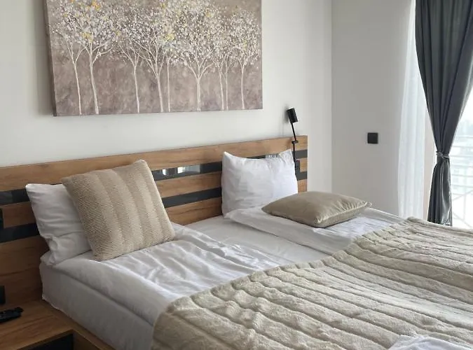 公寓 Nlux And 科帕奥尼克