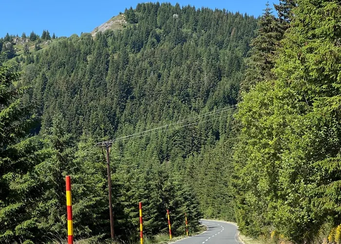 Nlux And 公寓 科帕奥尼克