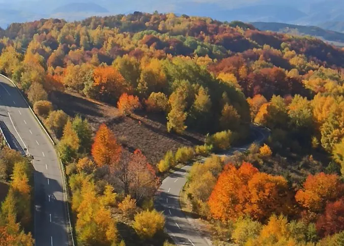 Nlux And * 科帕奥尼克